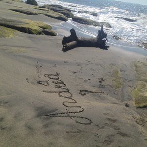 Meet your Posher, Sergio